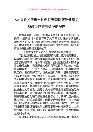 XX县委关于黑土地保护专项巡察反馈意见整改工作进展情况的报告