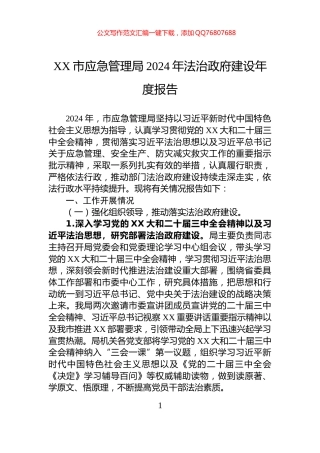 XX市应急管理局2024年法治政府建设年度报告