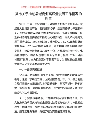 某市关于推动县域商业高质量发展工作情况的报告