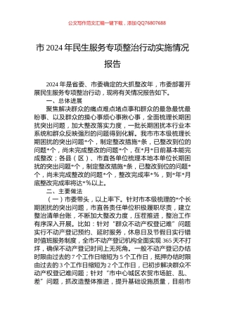 市2024年民生服务专项整治行动实施情况报告