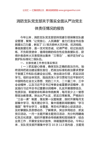 消防支队党支部关于落实全面从严治党主体责任情况的报告