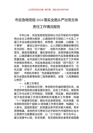 市应急局党组2024落实全面从严治党主体责任工作情况报告