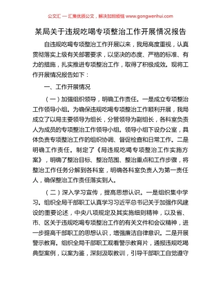 某局关于违规吃喝专项整治工作开展情况报告