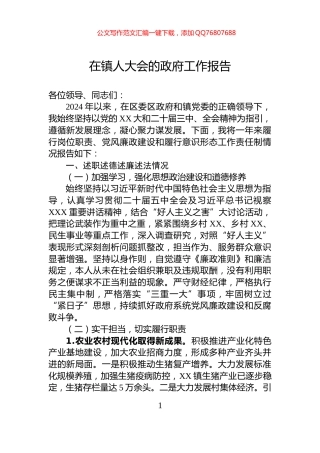 在镇人大会的政府工作报告