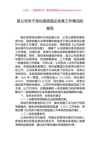 某公司关于深化国资国企改革工作情况的报告