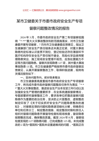 某市卫健委关于市委市政府安全生产专项督察问题整改情况的报告