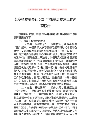 某乡镇党委书记2024年抓基层党建工作述职报告