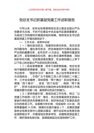 2024年党总支书记抓基层党建工作述职报告