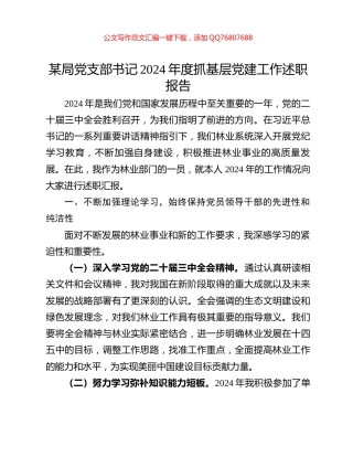 某局党支部书记2024年度抓基层党建工作述职报告