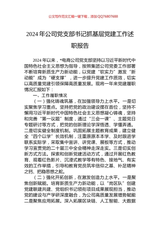 2024年公司党支部书记抓基层党建工作述职报告