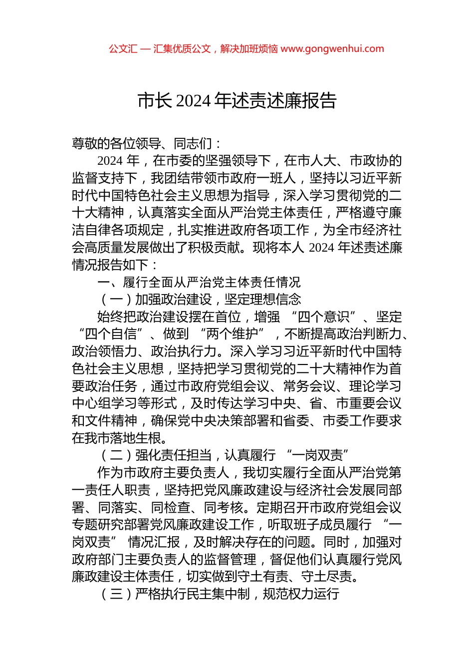 市长2024年述责述廉报告_第1页