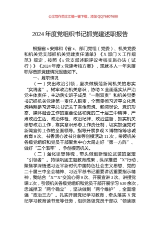 2024年度党组织书记抓党建述职报告