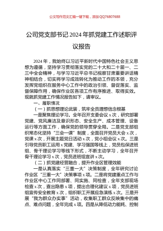 公司党支部书记2024年抓党建工作述职评议报告