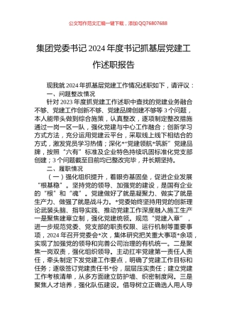 集团党委书记2024年度书记抓基层党建工作述职报告