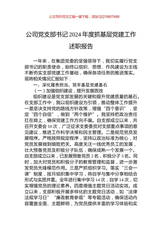 公司党支部书记2024年度抓基层党建工作述职报告