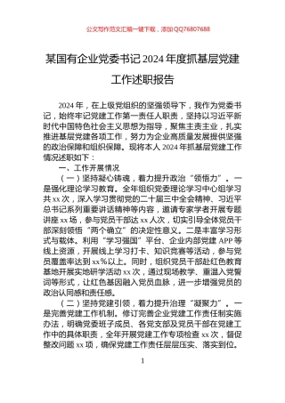 某国有企业党委书记2024年度抓基层党建工作述职报告