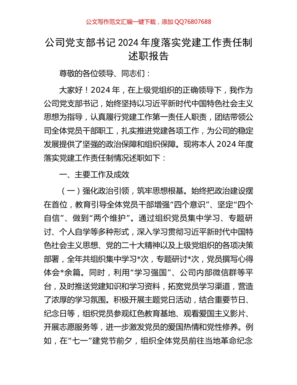 公司党支部书记2024年度落实党建工作责任制述职报告_第1页