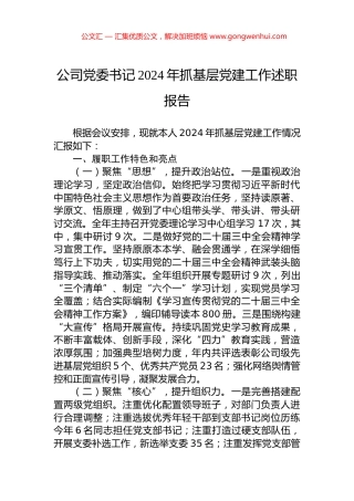公司党委书记2024年抓基层党建工作述职报告