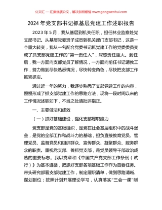 2024年党支部书记抓基层党建工作述职报告