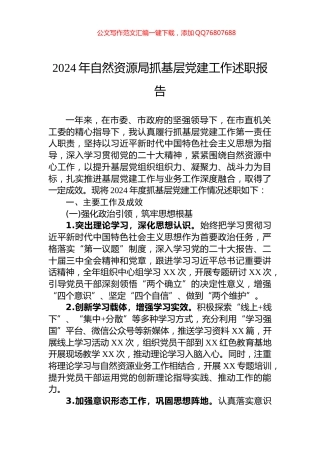 2024年自然资源局抓基层党建工作述职报告