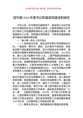 团市委2024年度书记抓基层党建述职报告