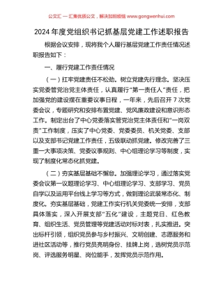 2024年度党组织书记抓基层党建工作述职报告