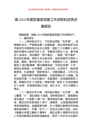 镇2024年度抓基层党建工作述职和述责述廉报告