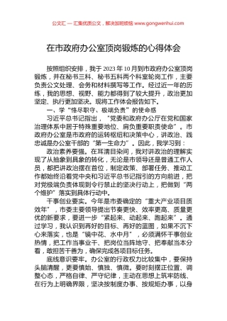 在市政府办公室顶岗锻炼的心得体会