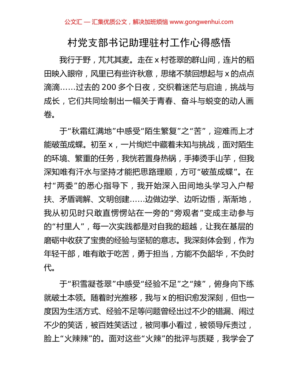 村党支部书记助理驻村工作心得感悟_第1页