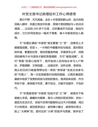 村党支部书记助理驻村工作心得感悟