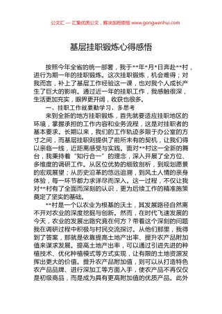 基层挂职锻炼心得感悟