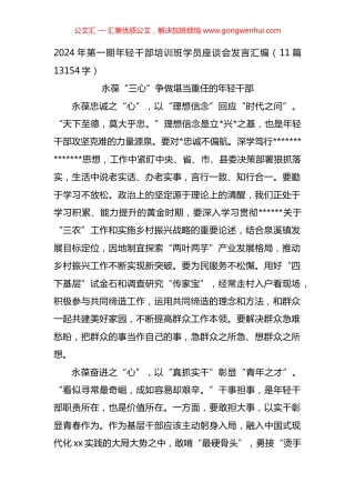 2024年第一期年轻干部培训班学员座谈会发言汇编（11篇）