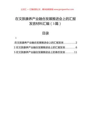 在文旅康养产业融合发展推进会上的汇报发言材料汇编（3篇）