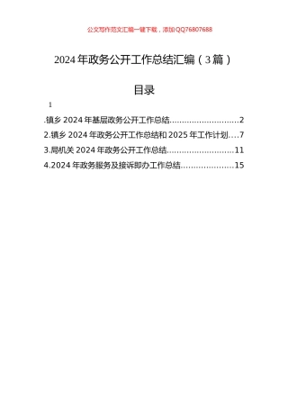 2024年政务公开工作总结汇编（3篇）