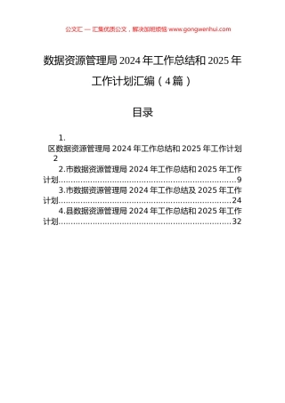 数据资源管理局2024年工作总结和2025年工作计划汇编（4篇）