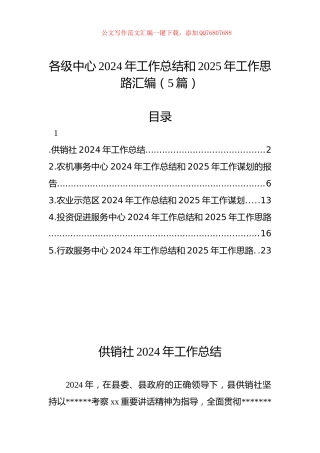 各级中心2024年工作总结和2025年工作思路汇编（5篇）