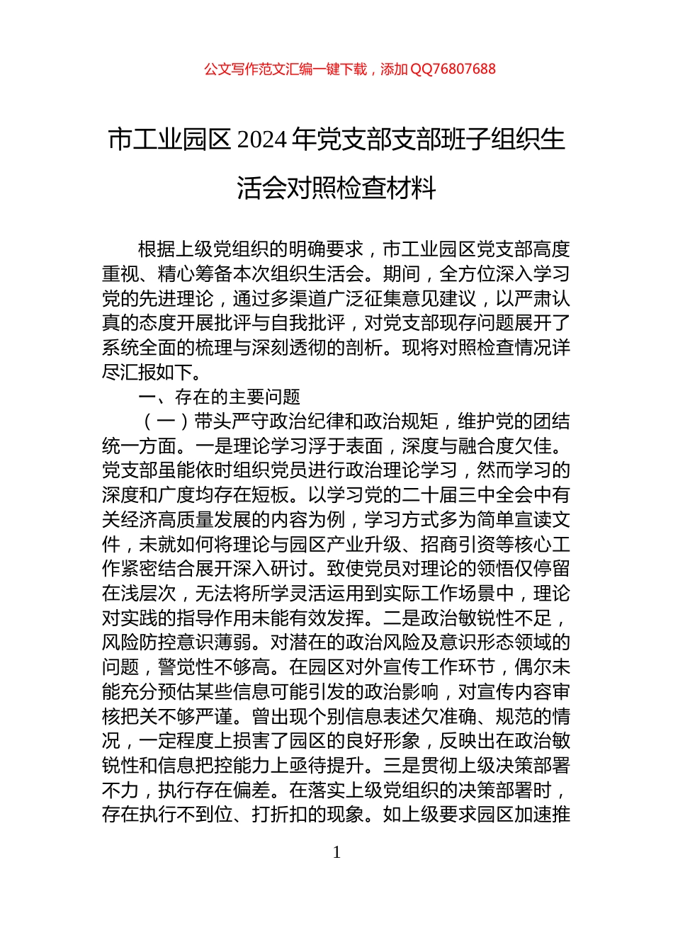 市工业园区2024年党支部支部班子组织生活会对照检查材料_第1页