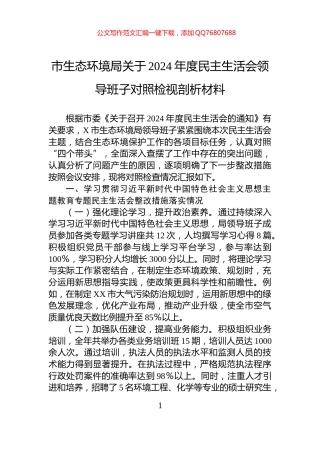 市生态环境局关于2024年度民主生活会领导班子对照检视剖析材料