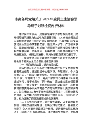 市商务局党组关于2024年度民主生活会领导班子对照检视剖析材料