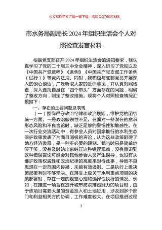 市水务局副局长2024年组织生活会个人对照检查发言材料