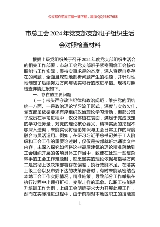 市总工会2024年党支部支部班子组织生活会对照检查材料