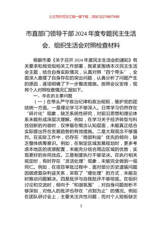 市直部门领导干部2024年度专题民主生活会、组织生活会对照检查材料