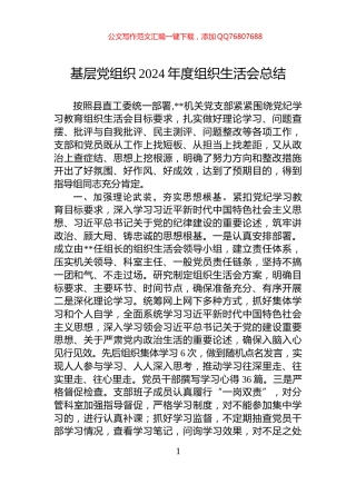 基层党组织2024年度组织生活会总结
