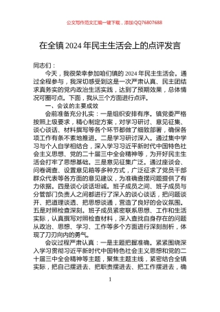 在全镇2024年民主生活会上的点评发言