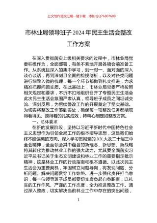 市林业局领导班子2024年民主生活会整改工作方案