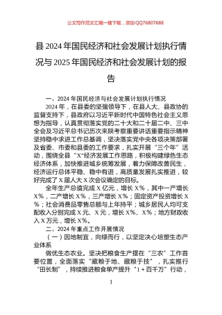 县2024年国民经济和社会发展计划执行情况与2025年国民经济和社会发展计划的报告
