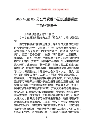 2024年度XX分公司党委书记抓基层党建工作述职报告