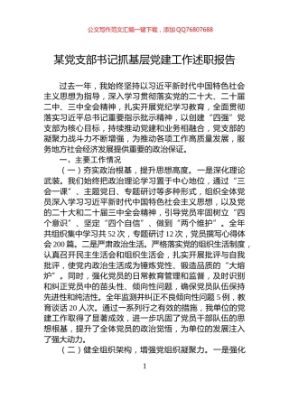 某党支部书记抓基层党建工作述职报告