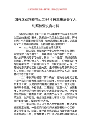 国有企业党委书记2024年民主生活会个人对照检查发言材料
