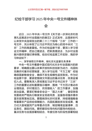纪检干部学习2025年中央一号文件精神体会